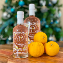 Load image into Gallery viewer, Blush Citrus Gin 250mL